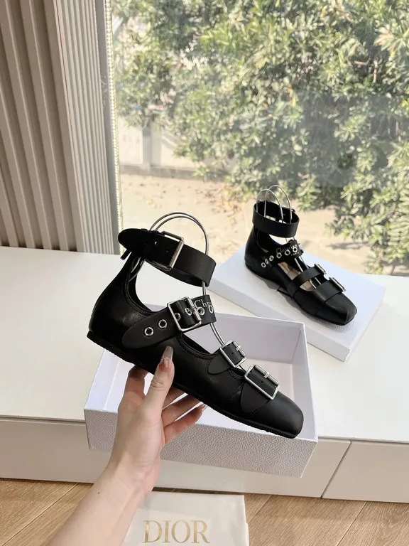 Dior Shoe 